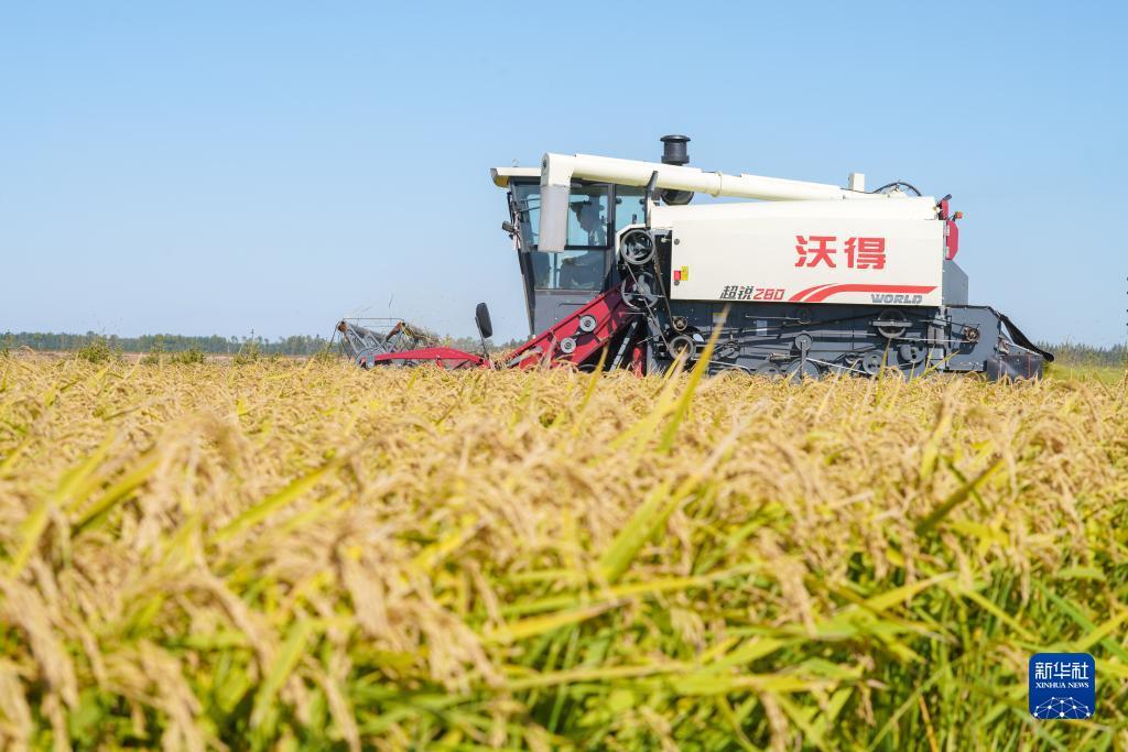 威尼斯人所有登入网址